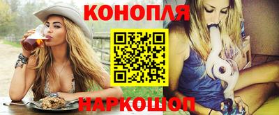 индика Новозыбков