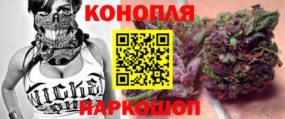 индика Новозыбков