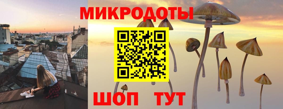Псилоцибиновые грибы мицелий Самара